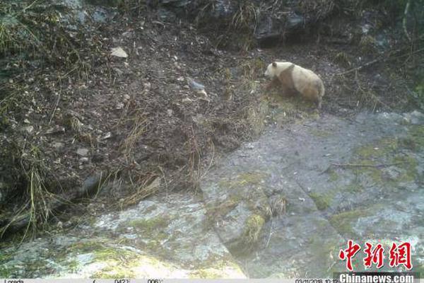 盐城亭湖青墩附近站街的店有哪些